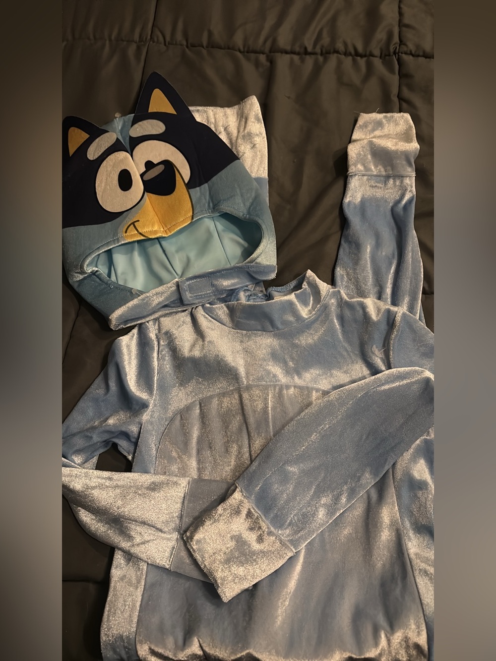 Bluey costume 4/5 NWOT
